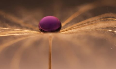 Rigged Random Number Generators QuintessenceLabs